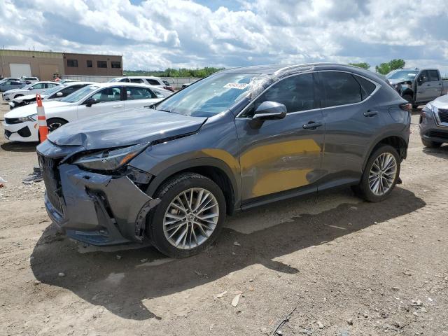 LEXUS NX 350 2023