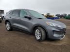 2021 Ford Escape Se for Sale in Brighton, CO - Front End