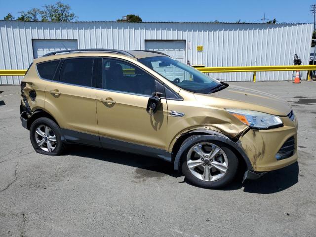  FORD ESCAPE 2014 Złoty