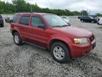 2007 Ford Escape Limited en Venta en Memphis, TN - Minor Dent/Scratches