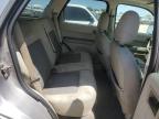2008 Ford Escape Xlt للبيع في San Antonio، TX - Hail