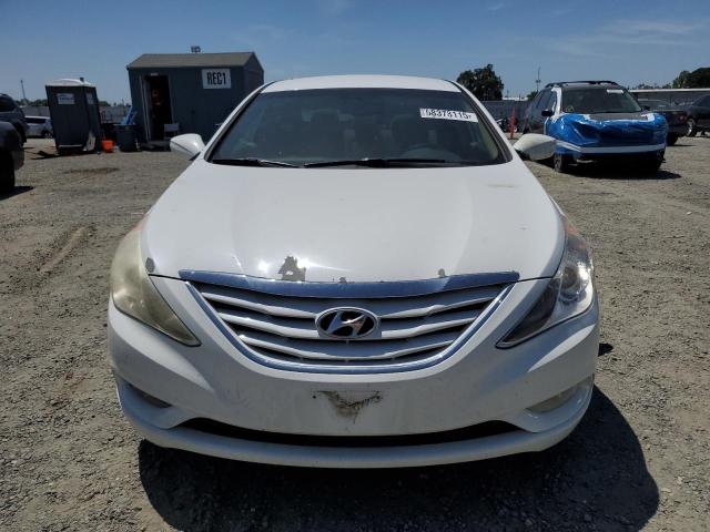  HYUNDAI SONATA 2013 Белы