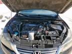 2013 Honda Accord Sport for Sale in Haslet, TX - Rear End