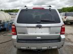 2012 Ford Escape Limited للبيع في Ellwood City، PA - Top/Roof