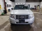 2008 Ford Escape Xlt იყიდება Blaine-ში, MN - Minor Dent/Scratches