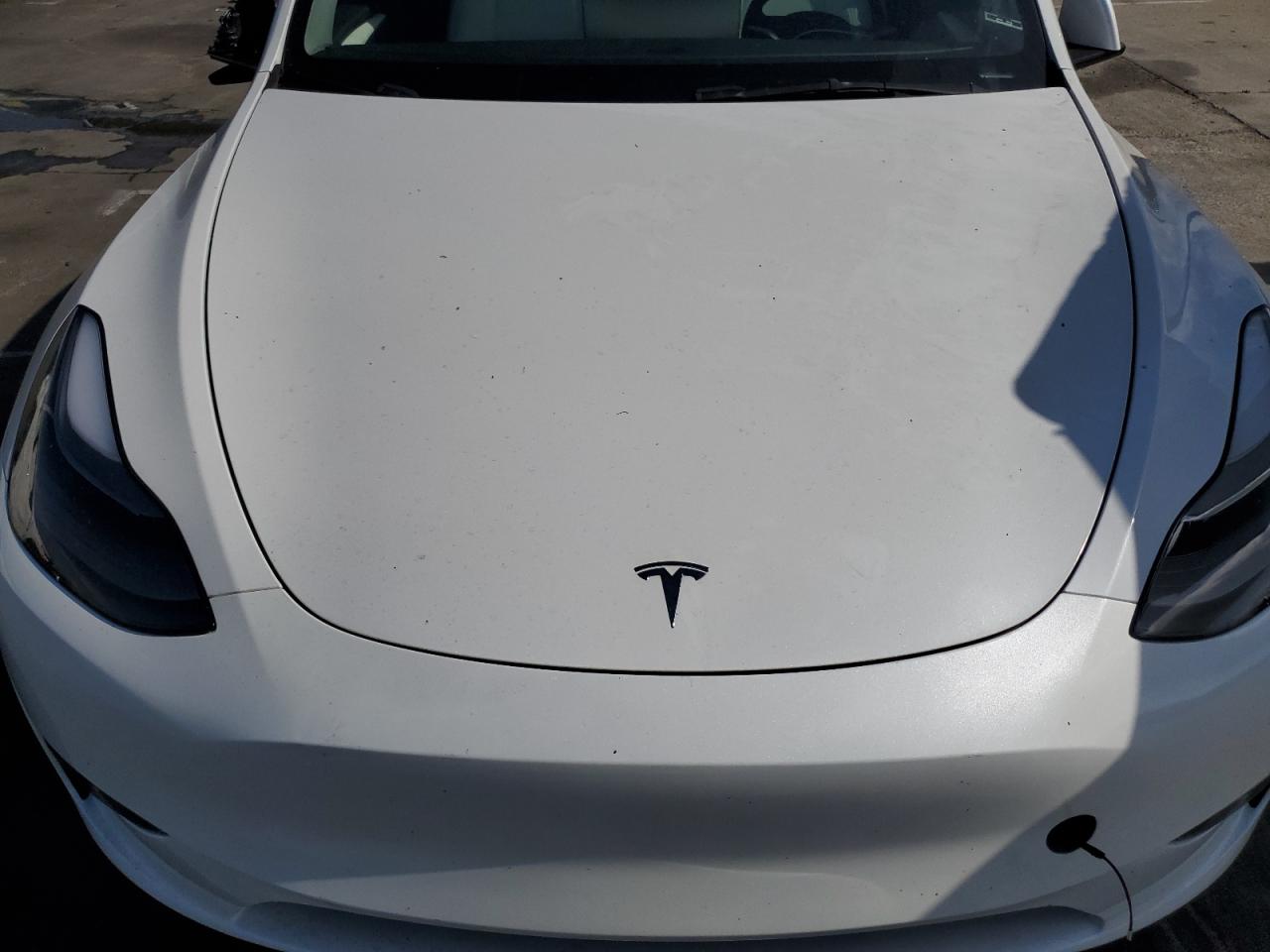 2024 Tesla Model Y VIN: 7SAYGDEE2RF090540 Lot: 56684505