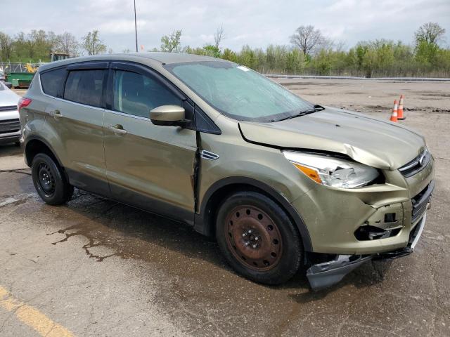  FORD ESCAPE 2013 Green