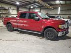 Eldridge, IA에서 판매 중인 2011 Ford F150 Supercrew   - Front End