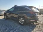 2024 Hyundai Tucson Blue for Sale in Prairie Grove, AR - Rear End