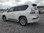Hueytown, AL에서 판매 중인 2017 Lexus Gx 460 - Front End