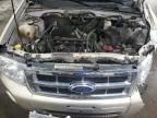 2011 Ford Escape Limited იყიდება Ham Lake-ში, MN - Front End