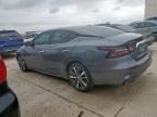 2019 Nissan Maxima S იყიდება Haslet-ში, TX - Front End