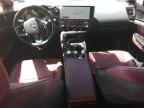 2023 Lexus Nx 350H   for Sale in Brighton, CO - Hail