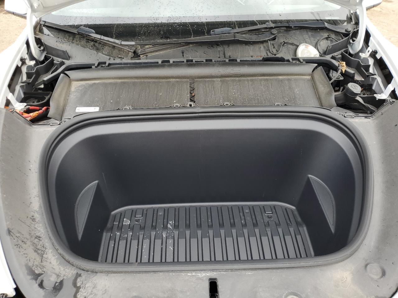 2022 Tesla Model Y VIN: 7SAYGDEF5NF444442 Lot: 56455755