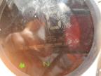 2024 Honda Cmx300  for Sale in Greenwell Springs, LA - All Over