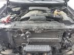 2013 Ford F150 Supercrew zu verkaufen in Dunn, NC - Top/Roof