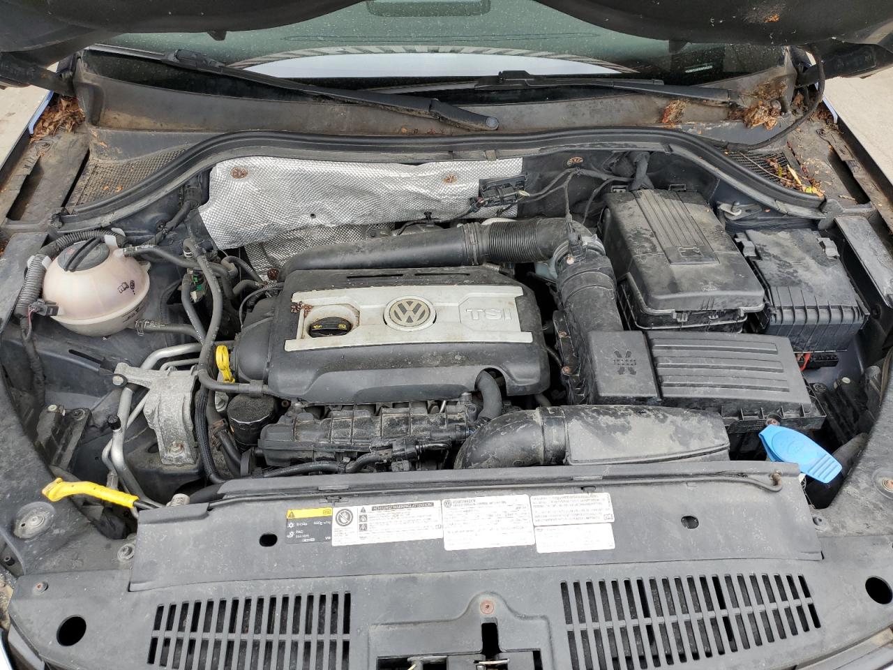 2014 Volkswagen Tiguan S VIN: WVGBV3AX9EW528255 Lot: 56741795