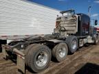 2023 Peterbilt 389 Semi Truck en Venta en Brighton, CO - Minor Dent/Scratches