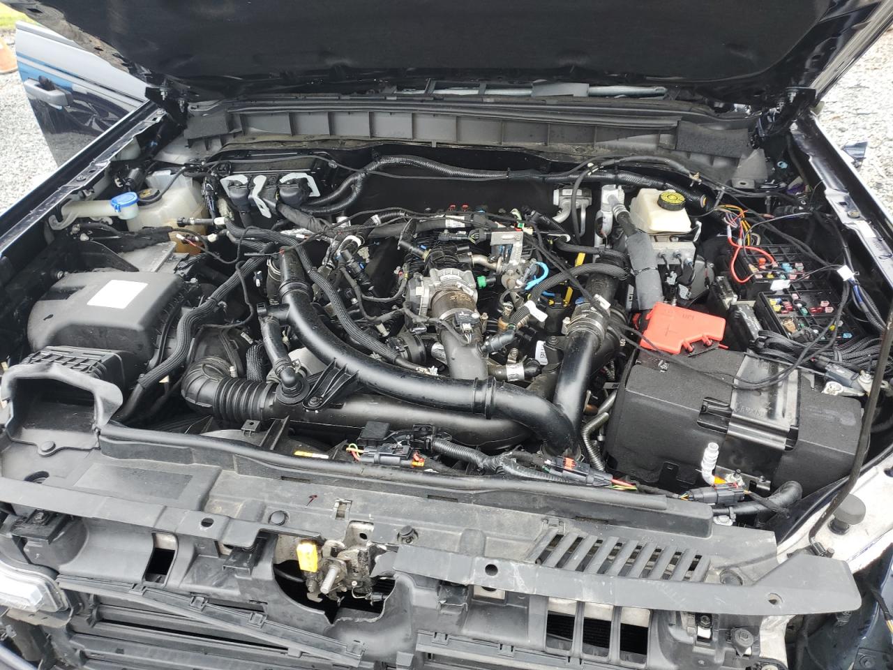 2021 Ford Bronco Base VIN: 1FMEE5DP5MLB03300 Lot: 56737415