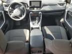 2024 Toyota Rav4 Le იყიდება Albuquerque-ში, NM - Front End