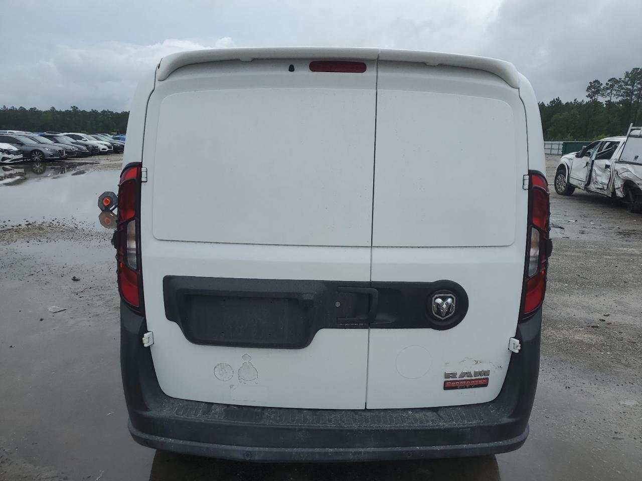 2019 Ram Promaster City VIN: ZFBHRFAB9K6M61891 Lot: 56733985