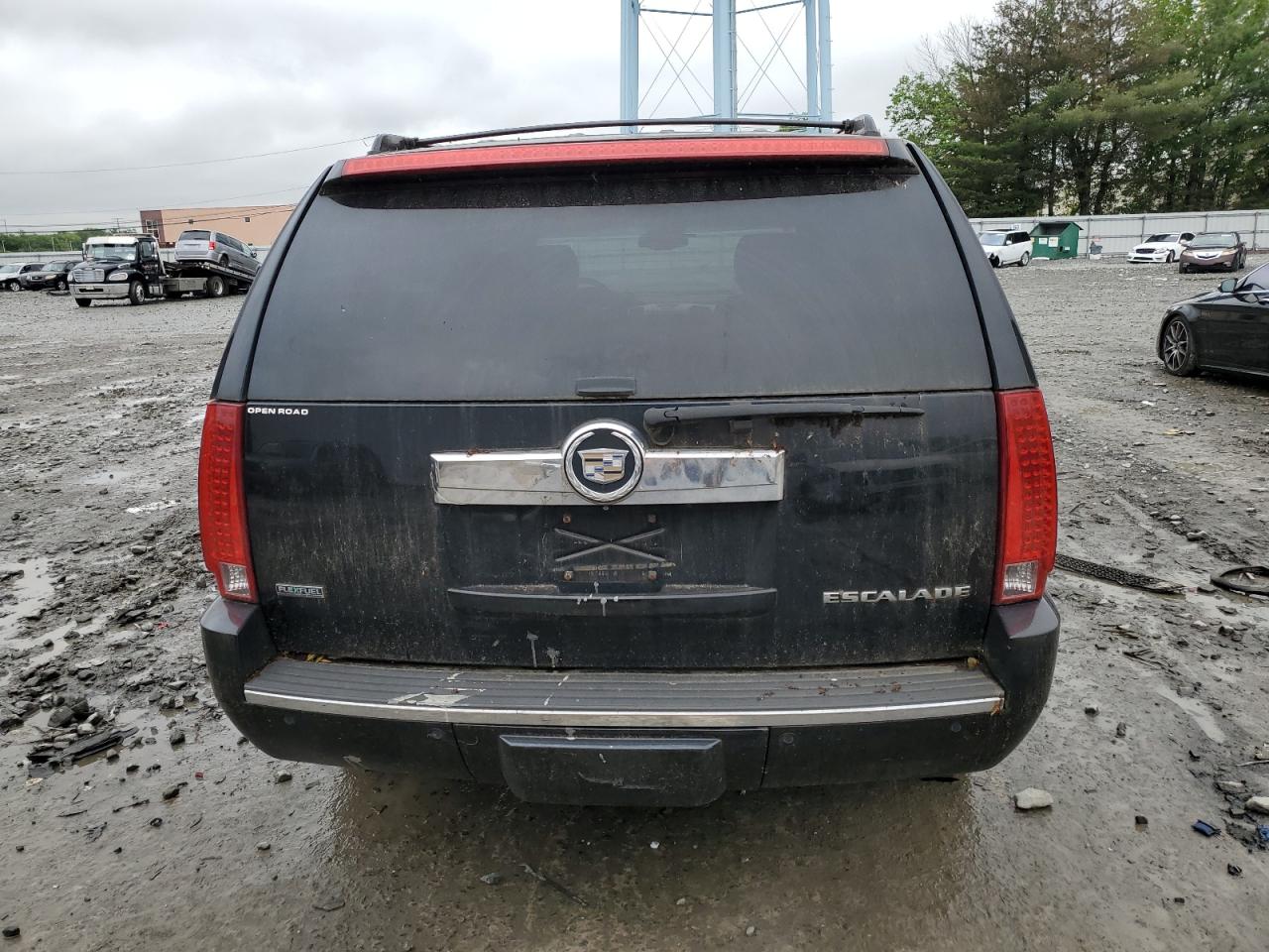 2010 Cadillac Escalade Premium VIN: 1GYUKCEF7AR242110 Lot: 58755955