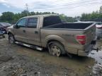 2013 Ford F150 Supercrew for Sale in Waldorf, MD - Side