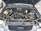 2007 Ford Escape Xlt for Sale in Lexington, KY - All Over