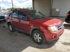 2012 Ford Escape Xlt en Venta en Fort Wayne, IN - Top/Roof