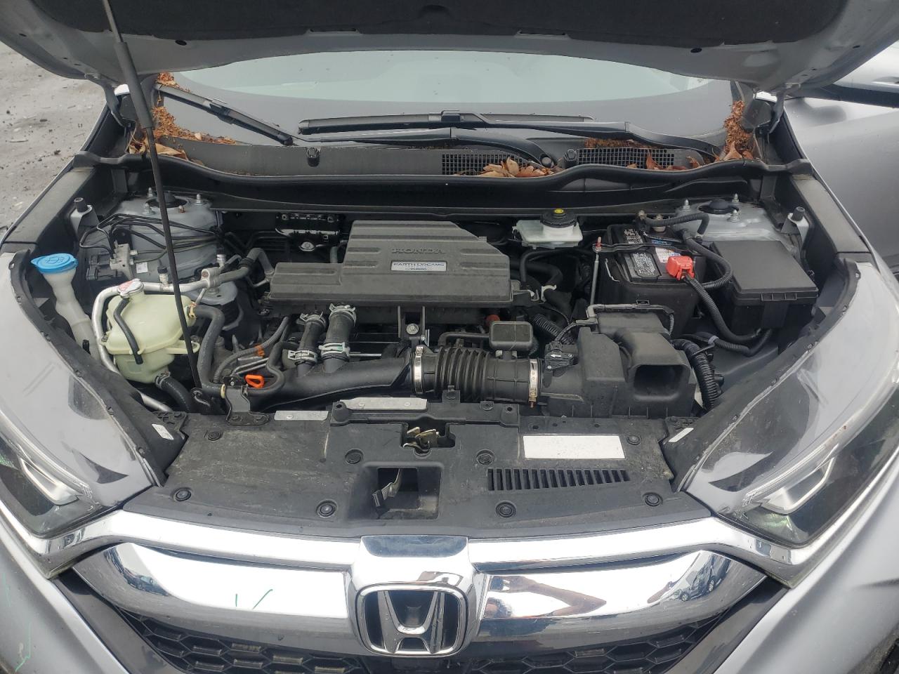 2019 Honda Cr-V Ex VIN: 2HKRW2H51KH609282 Lot: 56622715