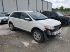 2013 Ford Edge Sel for Sale in Lawrenceburg, KY - Front End