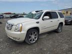 2007 Cadillac Escalade Luxury for Sale in Cahokia Heights, IL - Top/Roof