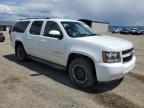 2007 Chevrolet Suburban K1500 na sprzedaż w Helena, MT - Side