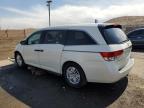 2016 Honda Odyssey Lx na sprzedaż w Albuquerque, NM - Front End