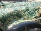 2005 Chevrolet C65 C6C042M67 for Sale in Florence, MS - Water/Flood