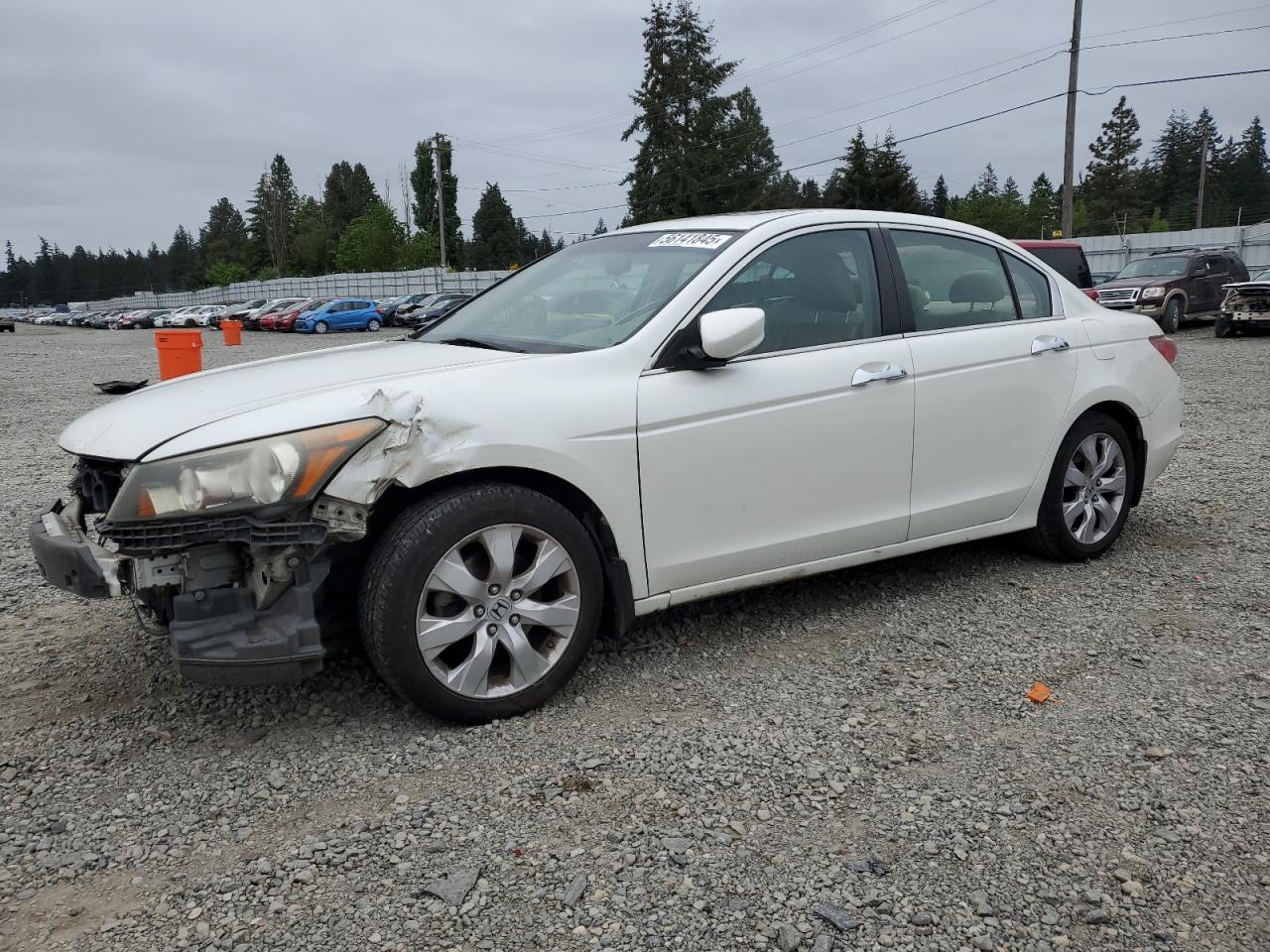 2009 Honda Accord Exl продається в Graham, WA - Side
