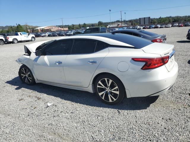  NISSAN MAXIMA 2017 Білий