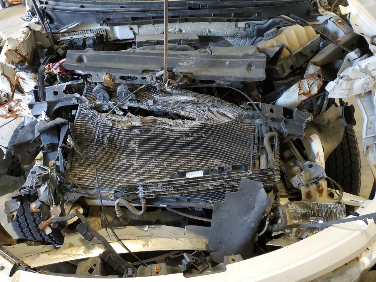 2011 Ford F150 Supercrew VIN: 1FTFW1EF0BFB44563 Lot: 56484685