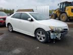 2013 TOYOTA CAMRY L à vendre chez Copart CT - HARTFORD SPRINGFIELD