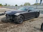 2022 Ford Mustang  for Sale in Chicago Heights, IL - Front End