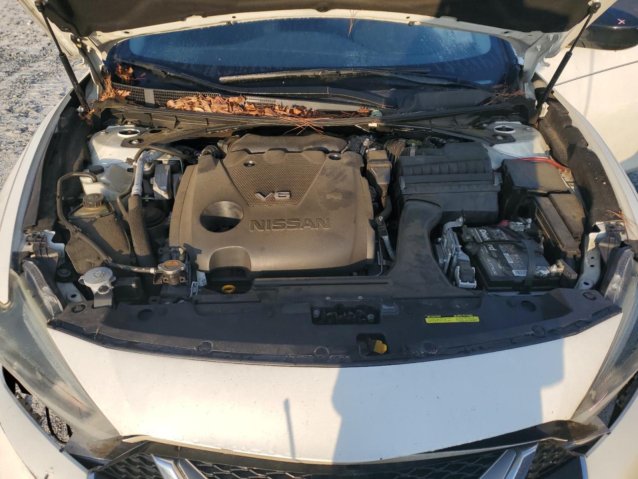 2017 Nissan Maxima 3.5S VIN: 1N4AA6AP9HC391102 Lot: 57220815