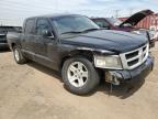 2010 Dodge Dakota Sxt for Sale in Elgin, IL - Front End