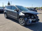 2016 Ford Escape Titanium for Sale in Ham Lake, MN - Front End