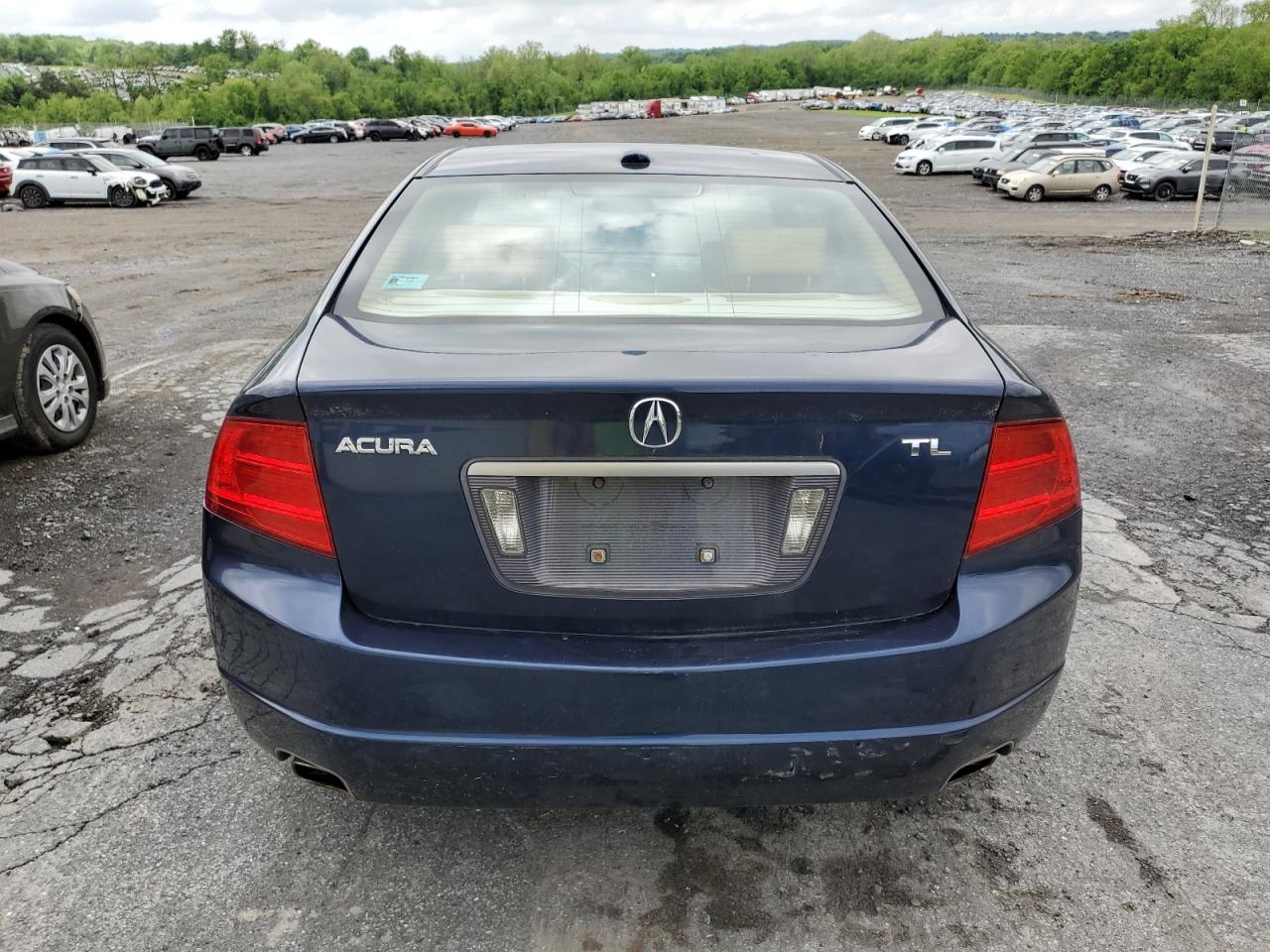2005 Acura Tl VIN: 19UUA66255A072230 Lot: 56949145