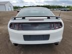2014 Ford Mustang Gt for Sale in Columbia Station, OH - Front End