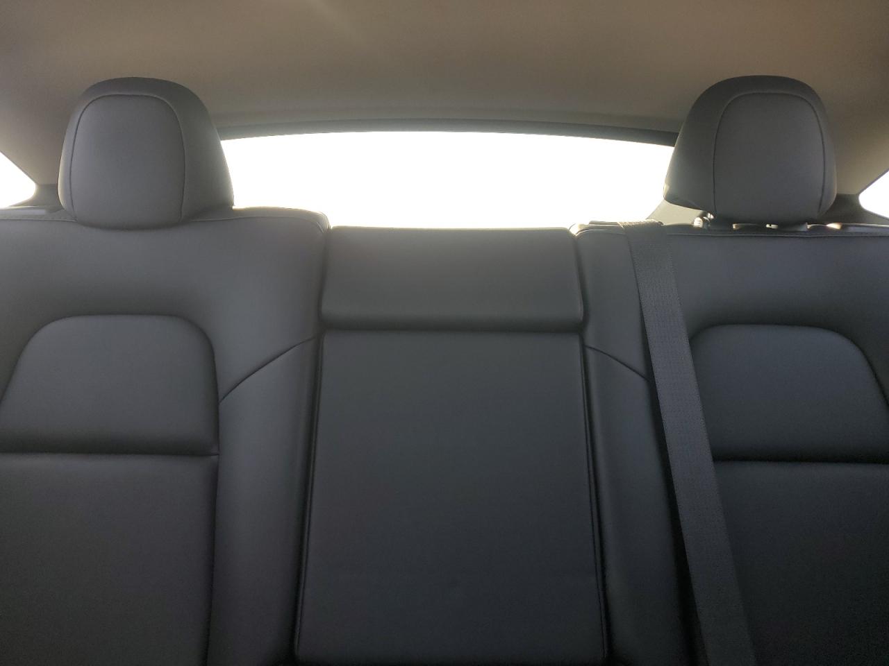 2024 Tesla Model Y VIN: 7SAYGAEEXRF033744 Lot: 58848275