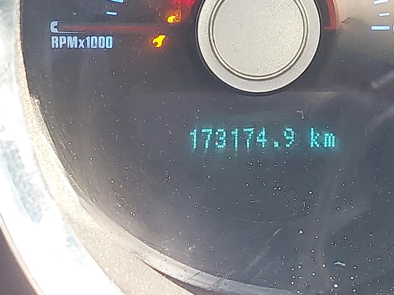 1ZVBP8AM1C5251263 - 2012 Ford MUSTANG - #undefined