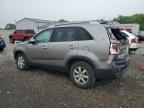 2011 Kia Sorento Base for Sale in Columbus, OH - Rear End