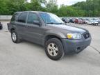 2006 Ford Escape Xlt for Sale in Ellwood City, PA - Rear End