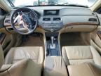 2009 Honda Accord Exl   en Venta en Kansas City, KS - Front End